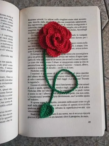 Rose Bud Reader❣️